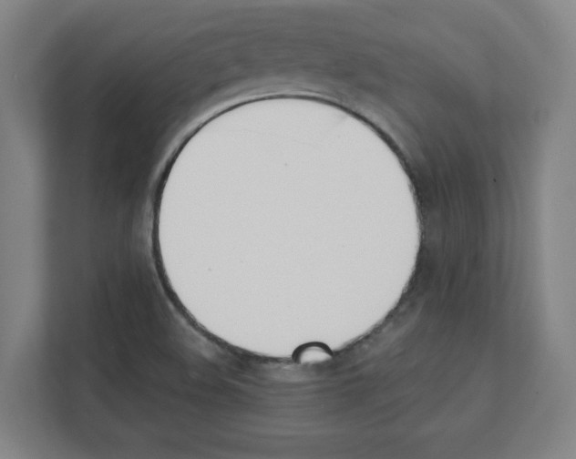 X0000111151508200908111123