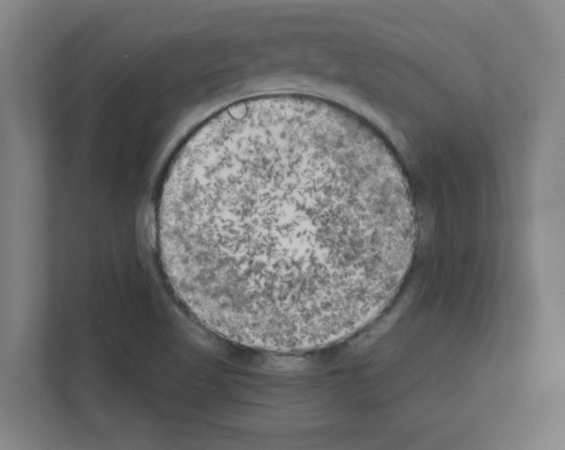 X0000111151509200908111123