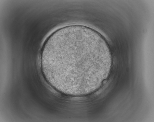 X0000111151510200908111123