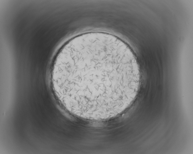 X0000111151511200908111123