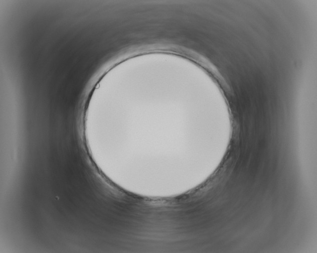 X0000111151512200908111123