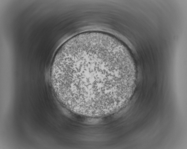 X0000111151513200908111123