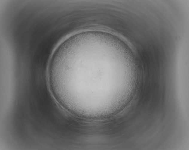 X0000111151514200908111123