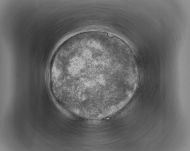 X0000111151515200908111123