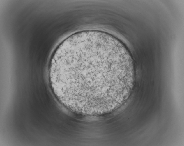 X0000111151517200908111123