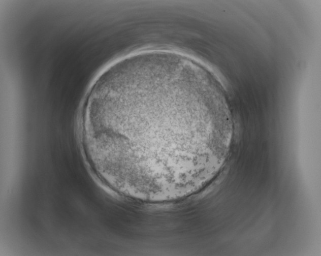 X0000111151519200908111123