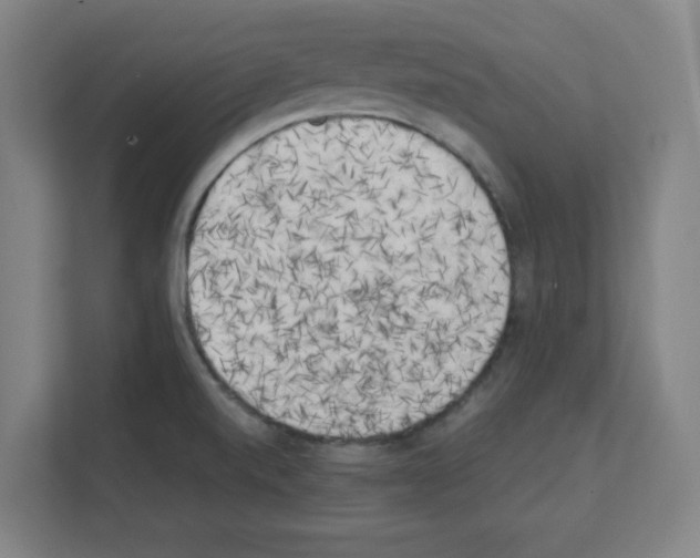 X0000111151520200908111124