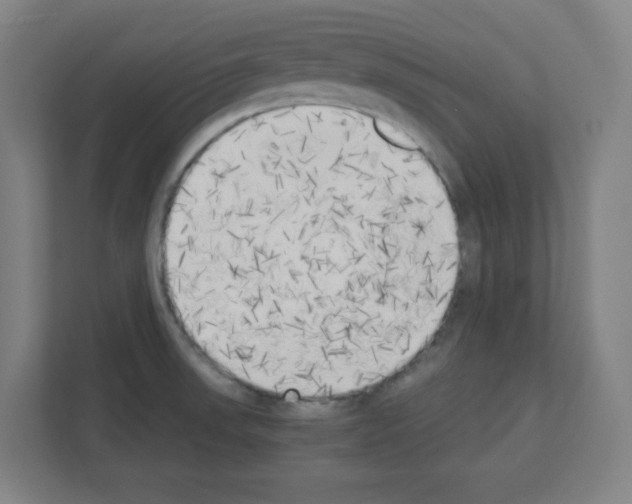 X0000111151523200908111124