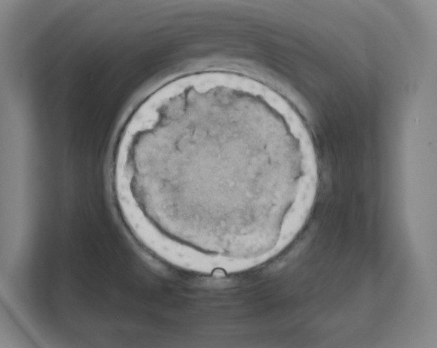 X0000111151525200908111124