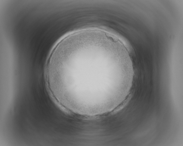 X0000111151526200908111124