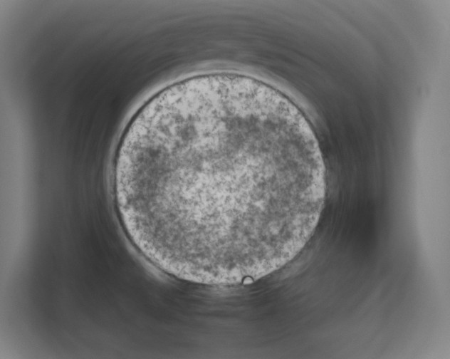 X0000111151527200908111124