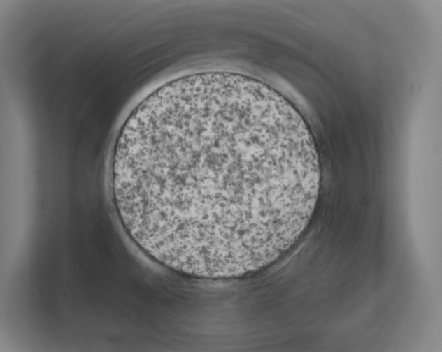 X0000111151528200908111124