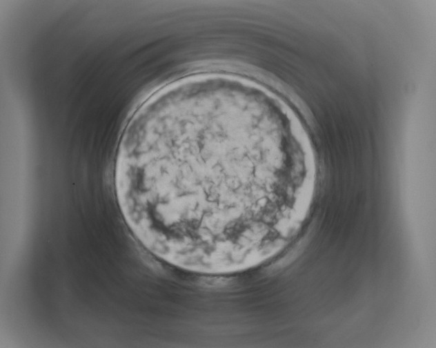 X0000111151529200908111124