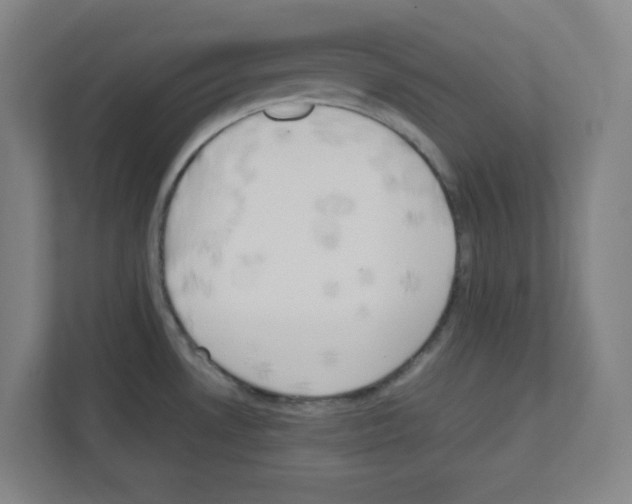 X0000111151530200908111124