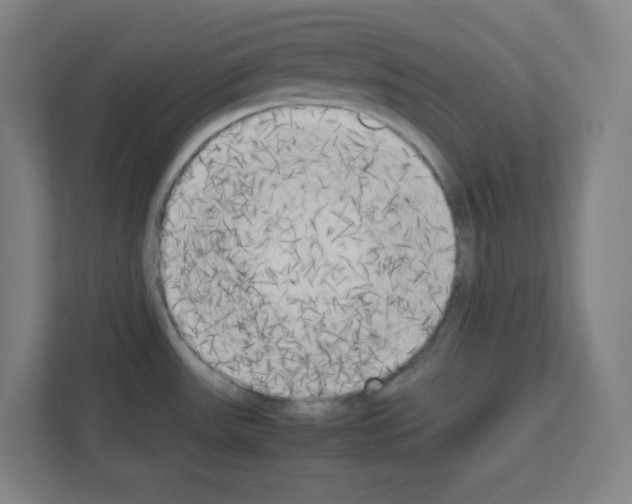 X0000111151531200908111124