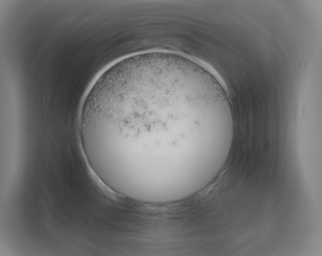 X0000111151532200908111124