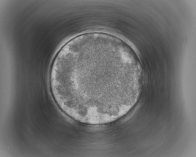 X0000111151533200908111124