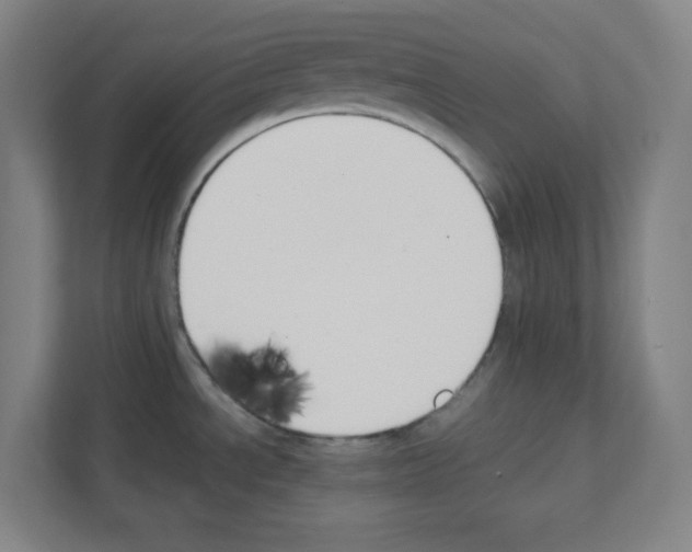 X0000111151534200908111124