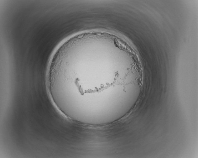 X0000111151536200908111124