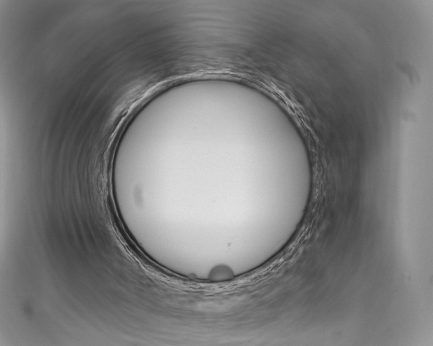 X0000111160002200906301107