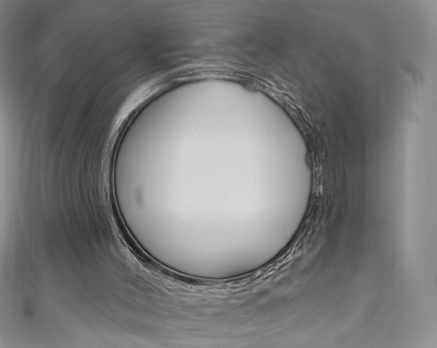 X0000111160004200906301107