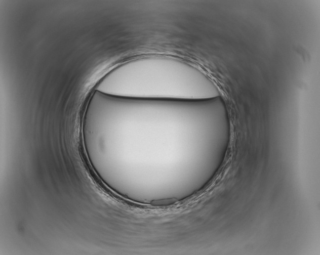 X0000111160005200906301107