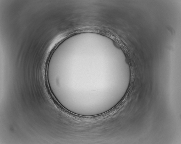 X0000111160006200906301107