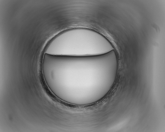 X0000111160012200906301107
