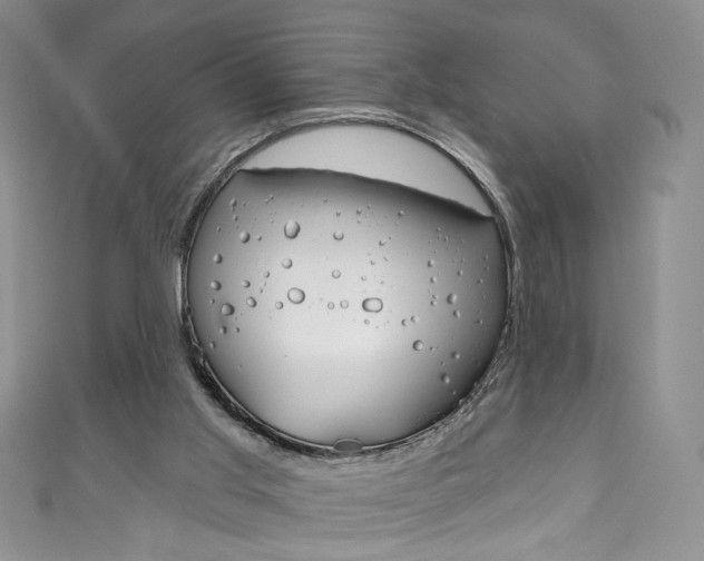 X0000111160013200906301107