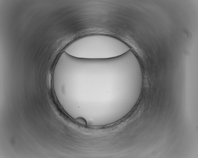 X0000111160014200906301107