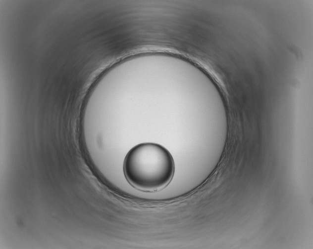 X0000111160015200906301107