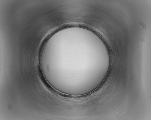 X0000111160016200906301107