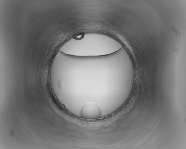 X0000111160018200906301107