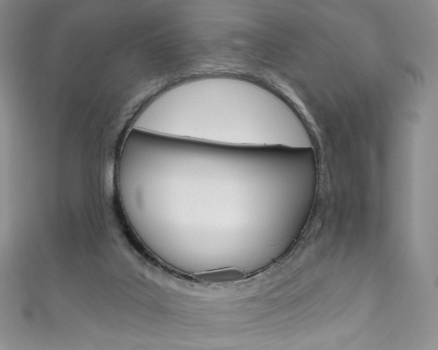 X0000111160019200906301107