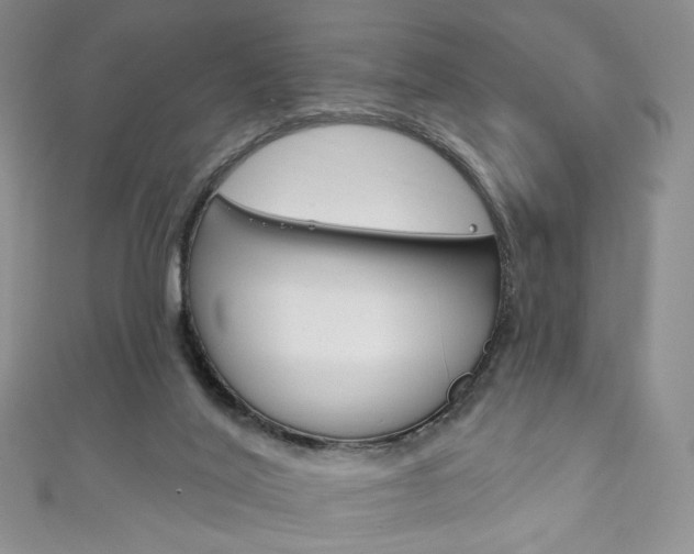 X0000111160020200906301107