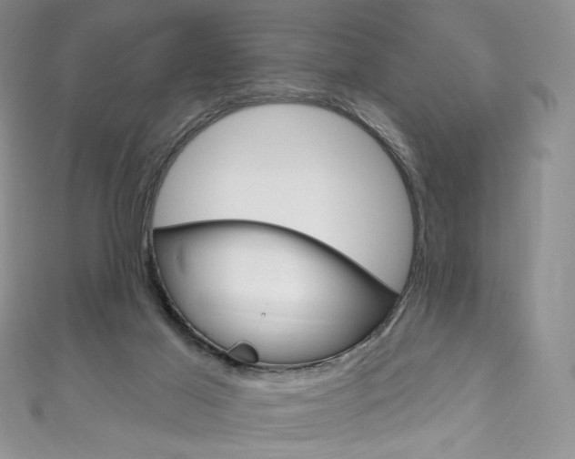 X0000111160021200906301107