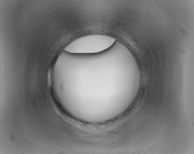 X0000111160022200906301107