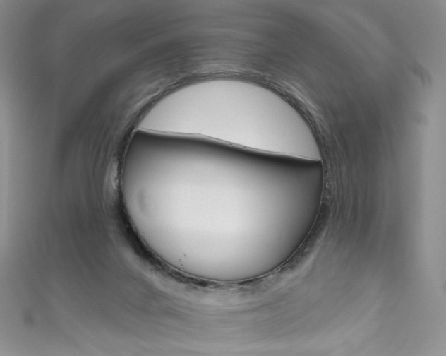 X0000111160024200906301107