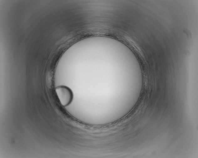 X0000111160026200906301107