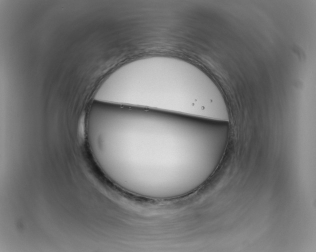 X0000111160028200906301107