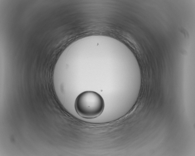 X0000111160029200906301107