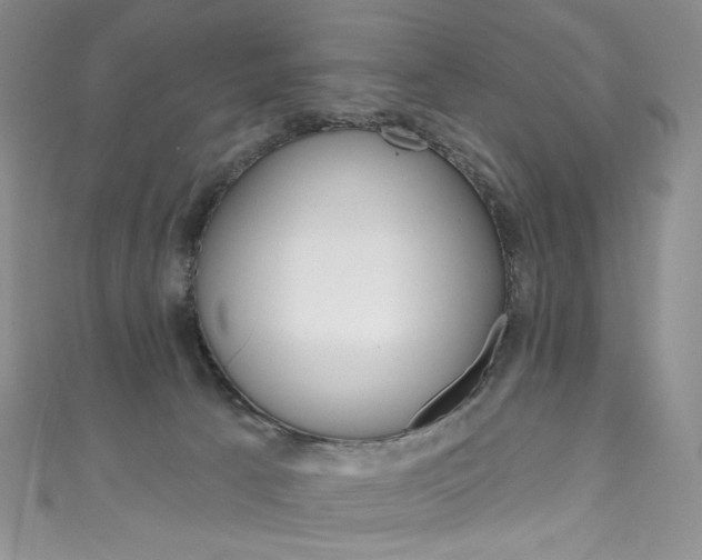 X0000111160033200906301107