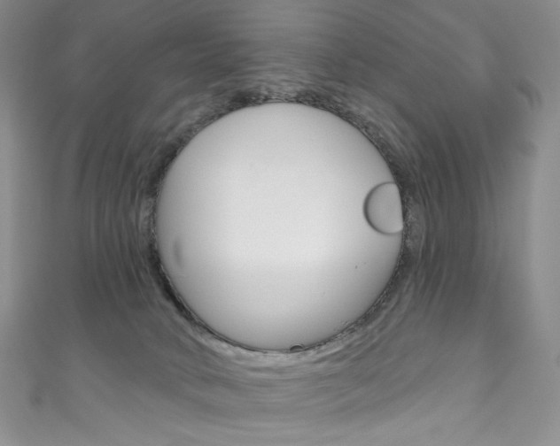 X0000111160034200906301107