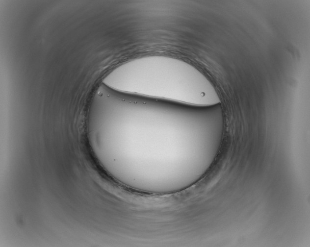 X0000111160036200906301107