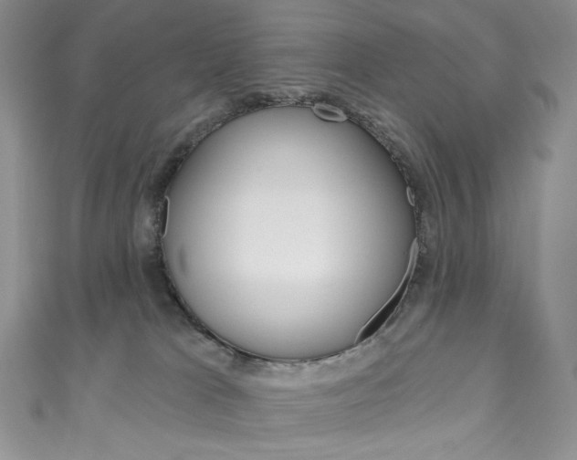 X0000111160037200906301107