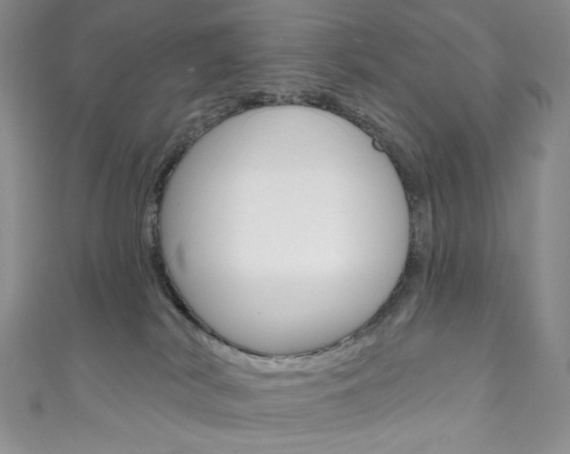 X0000111160038200906301107