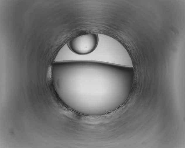 X0000111160041200906301107