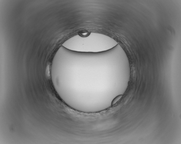 X0000111160042200906301107