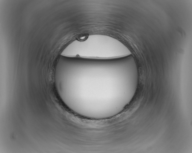 X0000111160044200906301107