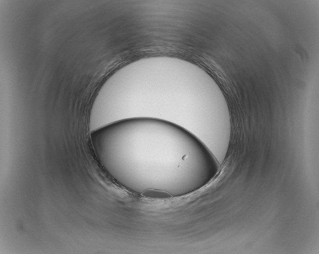 X0000111160045200906301107